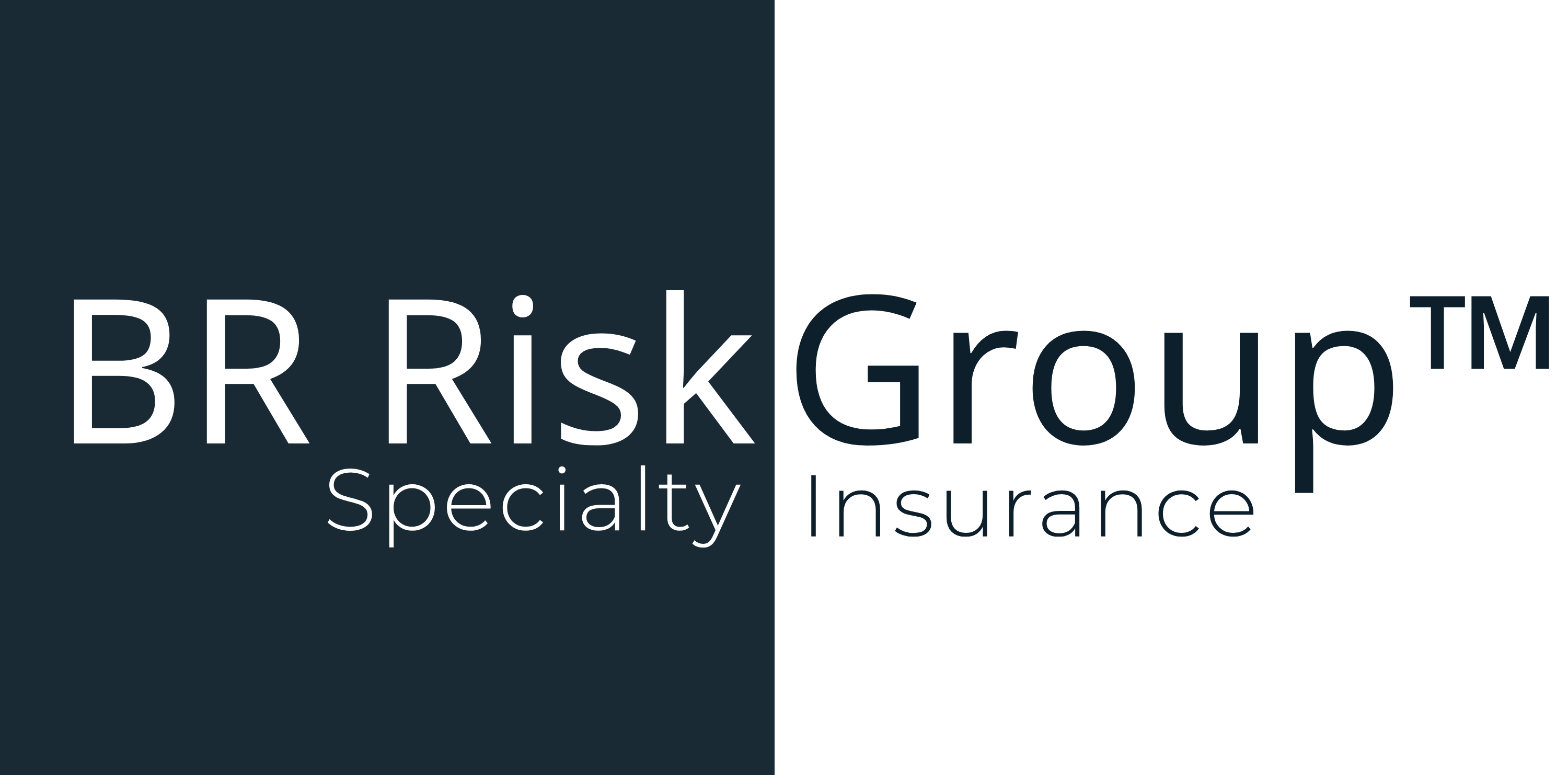 BR Risk Group Specialty Insurance